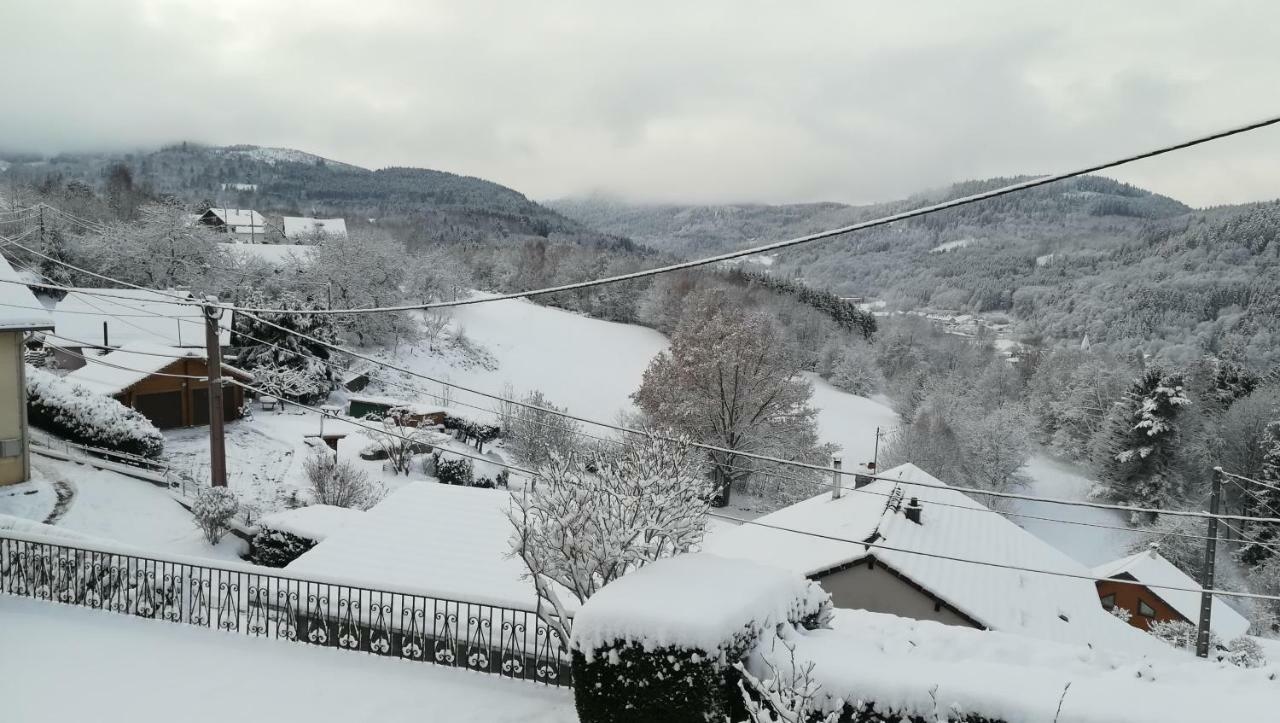 Gite De Bellevue Maison Traditionnelle Vosgienne Plainfaing Exteriör bild
